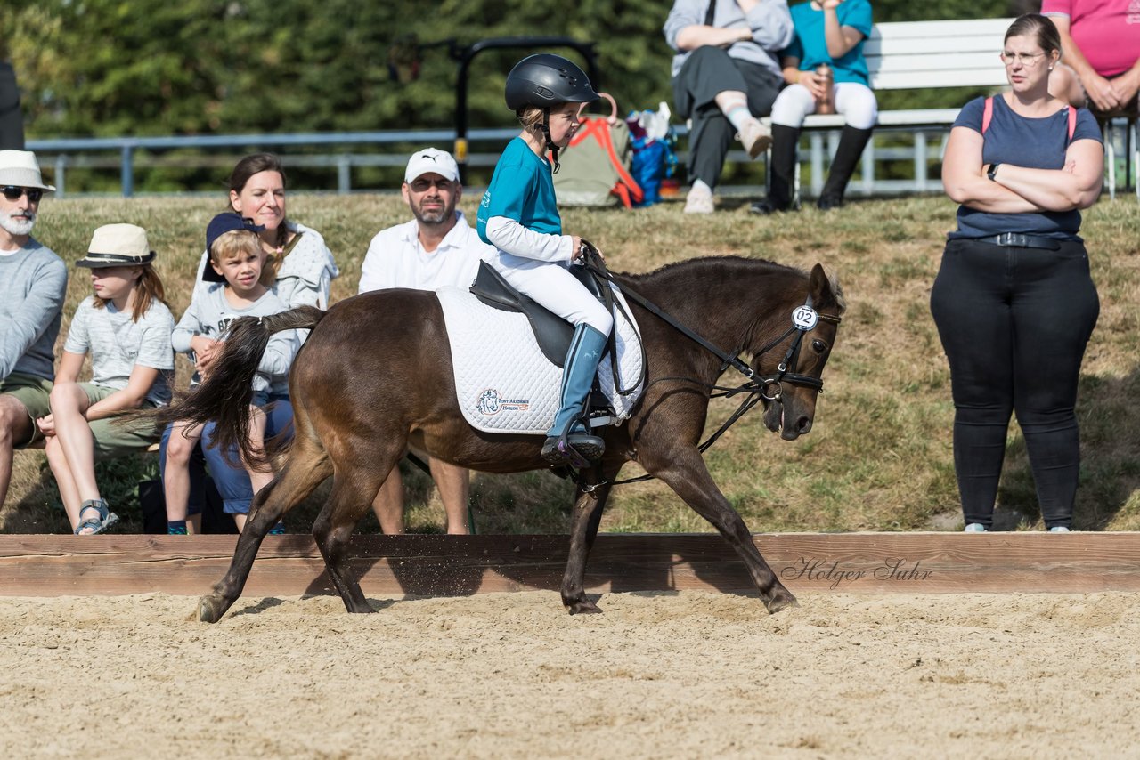 Bild 135 - Pony Akademie Turnier